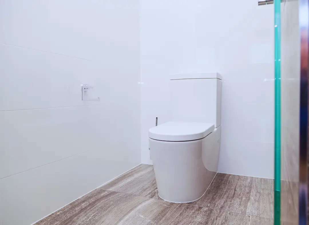 Remplacement de wc Oberhausbergen