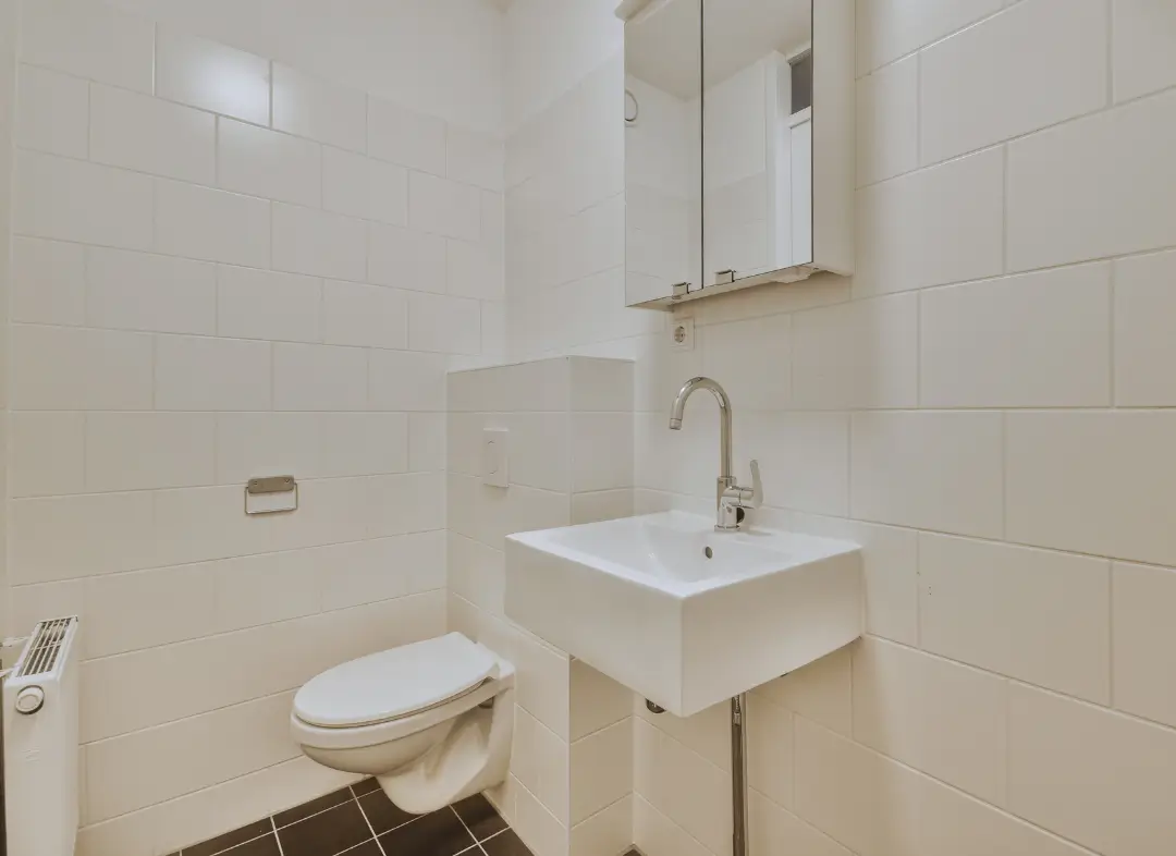 Pose WC Suspendu Oberhausbergen